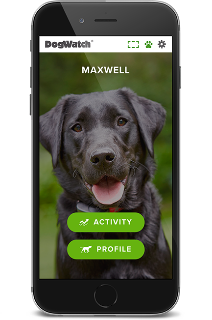 DFW DogWatch, Fort Worth, Texas | SmartFence WebApp Image