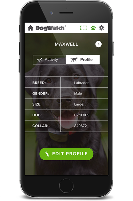 DFW DogWatch, Fort Worth, Texas | SmartFence WebApp Image