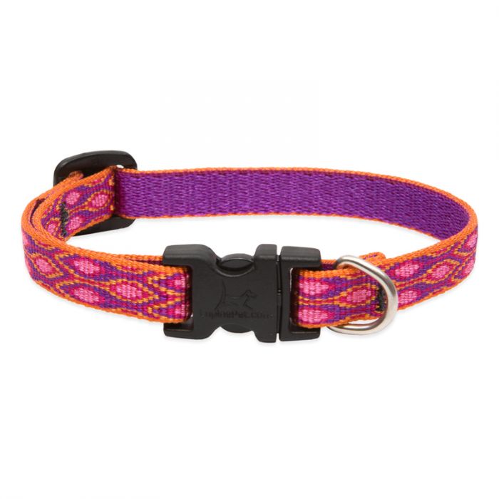 Aspen Glow Collar