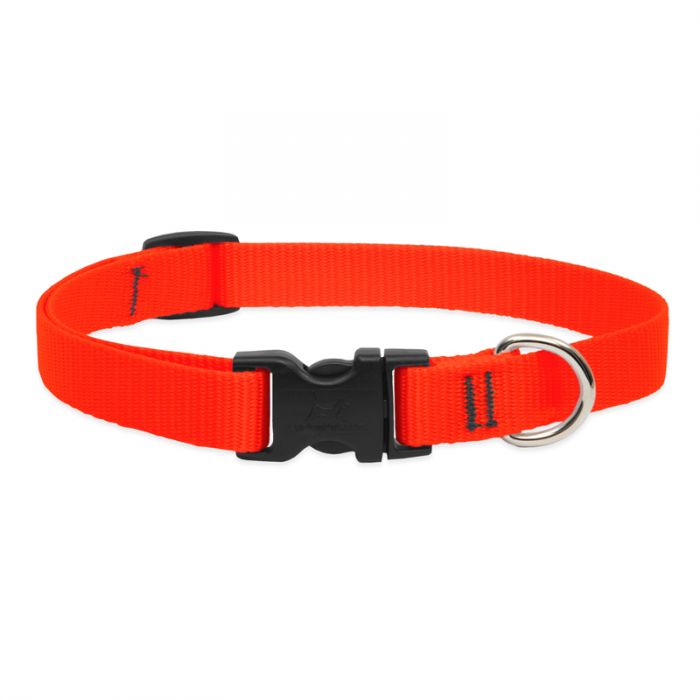 Orange Collar