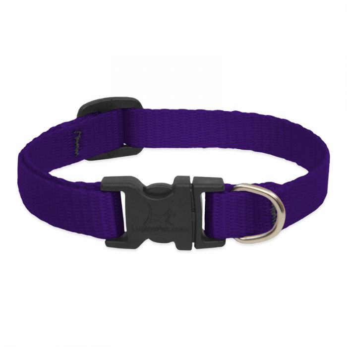 Purple Collar Image