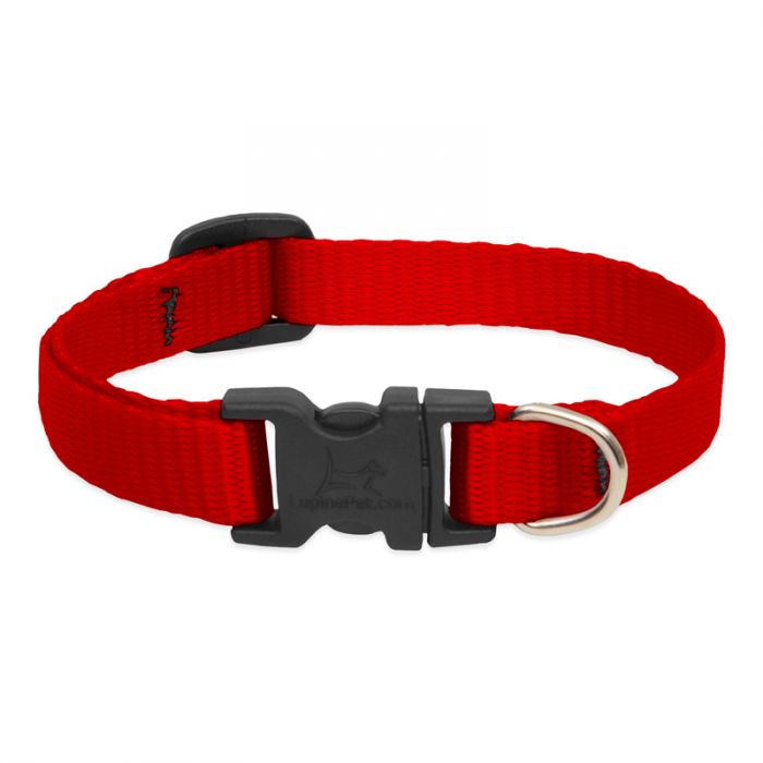 Red Collar Image