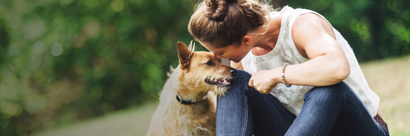 DFW DogWatch, Fort Worth, Texas | BarkCollar No-Bark Trainer Slider Image